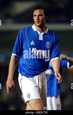 Soccer - FA Barclaycard Premiership - Birmingham City v Middlesbrough. Martin Taylor, Birmingham City Stock Photo