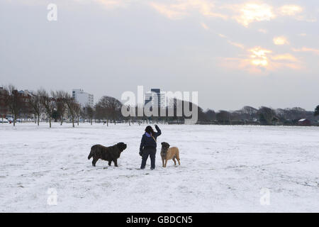 Dog walkers out on Southsea Common in Portsmouth as heavy snowfall hits the UK. Stock Photo