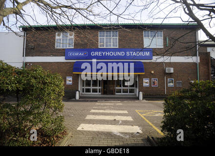Greyhound Racing - Brighton and Hove Greyhound Stadium Stock Photo