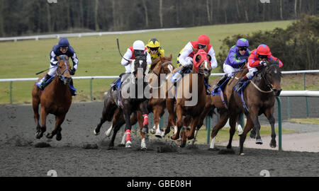 Runners and riders in the Wey Claiming Stakes race at Lingfield won by Brandywell Boy (far left) at Lingfield Racecourse, Surrey. Stock Photo