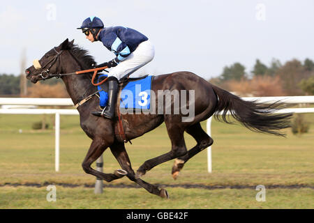 Briery Star ridden by jockey Robert Walford during The Marketrasenraces.co.uk Maiden Hurdle Race (Class 4) Stock Photo