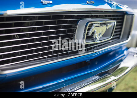 Detail of the radiator grille and 'galloping horse' emblem of a blue 1965 Ford Mustang Coupe car. Stock Photo