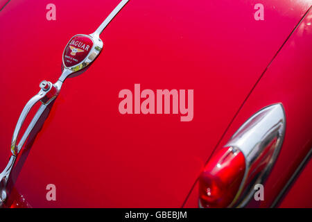 Detail of the rear of a red 1950s Jaguar XK140 sports car, England. Stock Photo