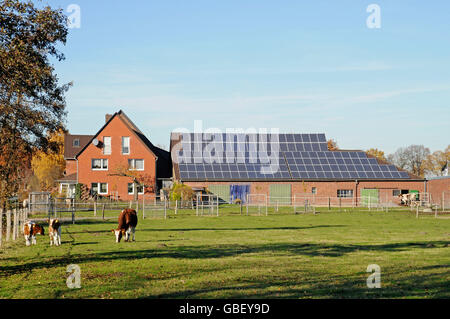 Photovoltaic power plant, farm, Werne, Munsterland region, North Rhine-Westphalia, Germany / Münsterland, solar power system, photovoltaic Stock Photo