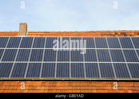 Photovoltaic power plant, farm, Munsterland region, North Rhine-Westphalia, Germany / Münsterland, solar power system, photovoltaic Stock Photo