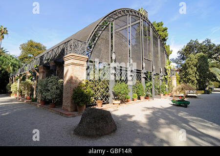 Umbraculo, Tropical greenhouse, botanical garden, Valencia, Valencian Community, Spain, Europe Stock Photo