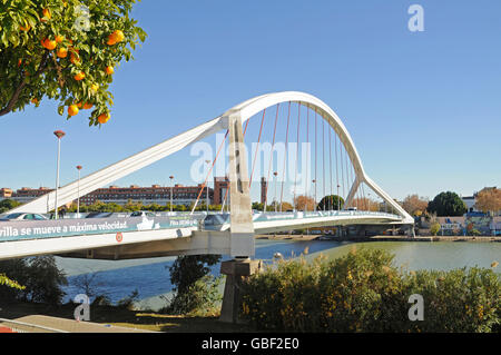 Puente de la Barqueta, bridge, Guadalquivir, river, Seville, Seville province, Andalucia, Spain, Europe Stock Photo