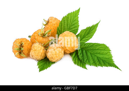 yellow raspberries isolated on white Stock Photo