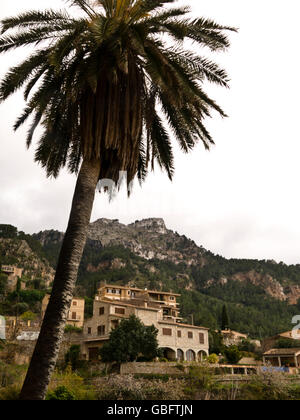 GR221 Mallorca Fernwanderweg zwischen Estellencs und Banyalbufar Stock Photo