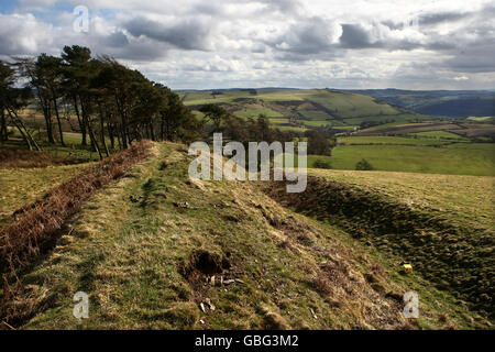 Offa's Dyke - Llanfair Hill - Wales. The Offa's Dyke on Llanfair Hill north of Knighton, Powys. Stock Photo