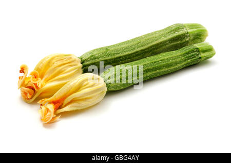 Striped zucchini with yellow flowers on a white background Stock Photo