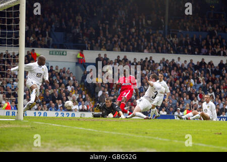 Soccer - FA Barclaycard Premiership - Leeds United v Charlton Athletic. Charlton Athletic's Jason Euell (c) scores the third goal past Leeds United's goalkeeper Paul Robinson Stock Photo