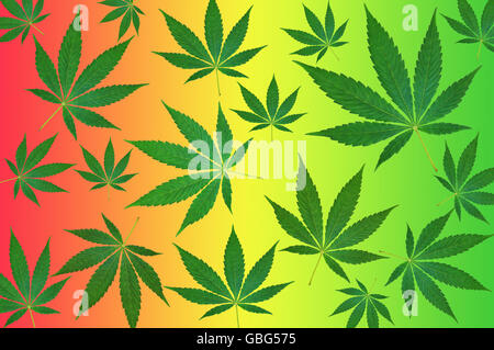 Green cannabis leafs on a colorful background pattern Stock Photo