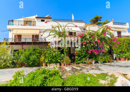 Traditional Greek houses with bougainvillea flowers in Kokkari town, Samos island, Greece Stock Photo