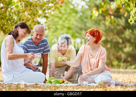 Group of senior citizens making a picnic in the park Stock Photo