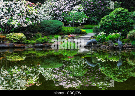 Spring bloom reflections in the Lily Pond at Shore Acres State Park Botanical Garden on Oregon's south coastline. Stock Photo