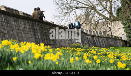 Spring weather Stock Photo