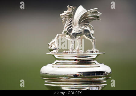 Soccer - FAW Premier Cup Final - Rhyl v Wrexham. The Welsh FA Cup, won by Rhyl in 2004 Stock Photo