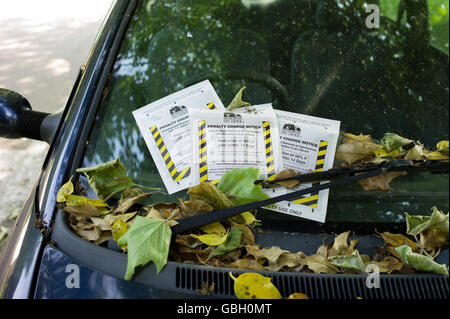 Multiple parking tickets on car windscreen Stock Photo