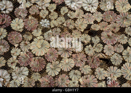 a fish production make dry fish products in the city of Myeik in the south in Myanmar in Southeastasia. Stock Photo