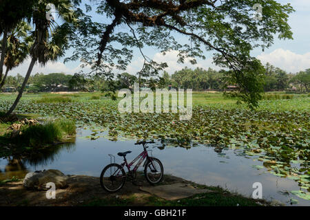 a smal lake park in the city centre of Myeik in the south in Myanmar in Southeastasia. Stock Photo