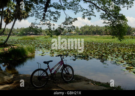 a smal lake park in the city centre of Myeik in the south in Myanmar in Southeastasia. Stock Photo