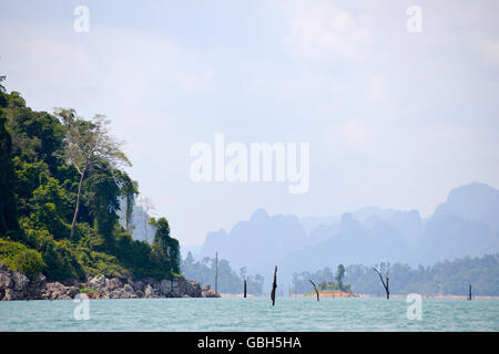 dead tree sticking out of the water from Lake National Parc Khao lak Stock Photo