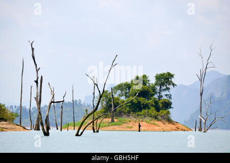 dead tree sticking out of the water from Lake National Parc Khao lak Stock Photo