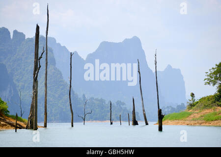 dead tree sticking out of the water from Lake National Parc Khao lak Stock Photo