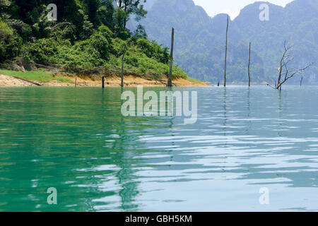 dead tree sticking out of the water from Lake National Parc Khao lak Stock Photo