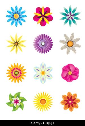 Garden flower. Vector illustration. Botanical drawing of flowering ...