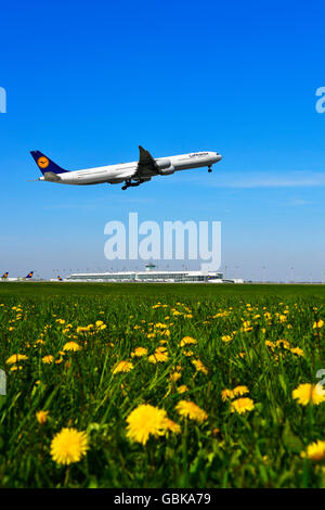 Lufthansa Airbus A 340-600, during take-off, Munich Airport, Upper Bavaria, Bavaria, Germany Stock Photo