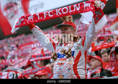Cologne fans cheering their team at the start of the game, Bundesliga federal league, 1. FC Koeln - FSV Mainz 05 4:2 Stock Photo