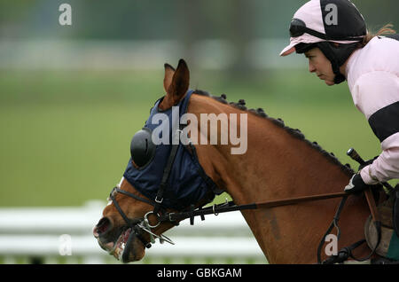 Horse Racing - Stan James Perth Festival - Day Three - Perth Racecourse Stock Photo