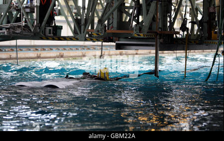 Anaconda energy converter Stock Photo