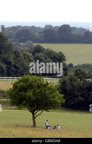 Horse Racing, Epsom Races. Punters relax in the centre of the race course Stock Photo