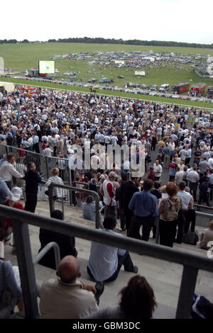 Horse Racing, Epsom Races. Punters cheer on their choice of horse Stock Photo
