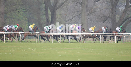 Horse Racing - Stan James Perth Festival - Day Three - Perth Racecourse Stock Photo