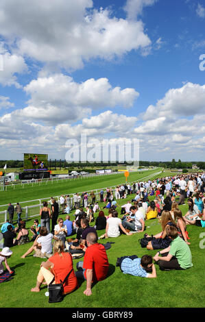 Horse Racing - Totepool Irish Day - Sandown Park Stock Photo