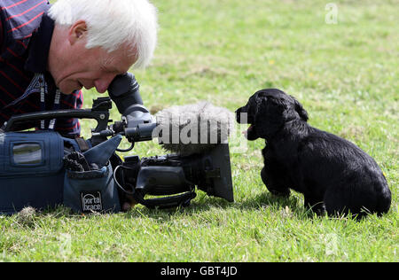 Copper a nine week old Cocker Spaniel investigates a TV camera microphone during a photocall where the spaniel was handed over to the charity, Cancer & Biodetection Dogs by Strathclyde Police at the Scottish Police Dog Training Centre, Pollock Country Park. Stock Photo