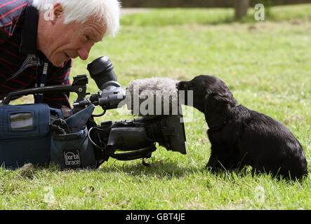 Copper a nine week old Cocker Spaniel investigates a TV camera microphone during a photocall where the spaniel was handed over to the charity, Cancer & Biodetection Dogs by Strathclyde Police at the Scottish Police Dog Training Centre, Pollock Country Park. Stock Photo