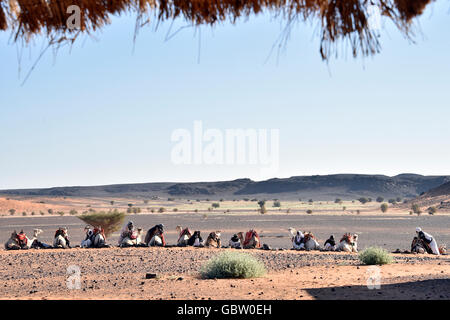 Africa, Sudan, Mussawarat, nomad with dromedary Stock Photo