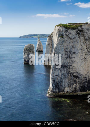 The Chalk Cliffs of Ballard Down with The Pinnacles Stack in Swanage Bay, near Handfast Point, Isle of Purbeck, Dorset, UK Stock Photo