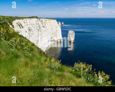 The Chalk Cliffs of Ballard Down with The Pinnacles Stack in Swanage Bay, near Handfast Point, Isle of Purbeck, Dorset, UK Stock Photo