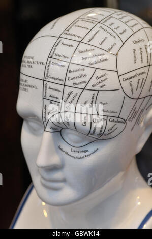 Head sculpture with brain activities Stock Photo