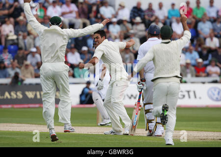 Australia's Mitchell Johnson (centre) celebrates with Michael Clarke after taking the wicket of England captain Andrew Strauss during day one of the first npower Test match at Sophia Gardens, Cardiff. Stock Photo
