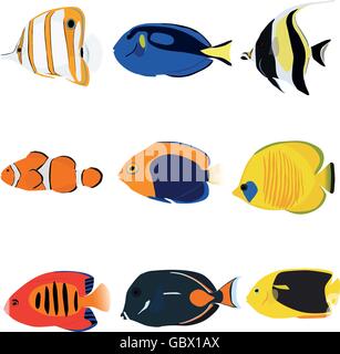 Tropical fishes set containing nine fishes: Copperband Angelfish, Blue Tang, Moonrish Idol, Clownfish, Flameback Angelfish, Mask Stock Vector