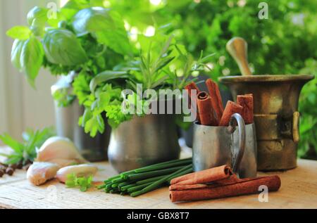 Herbs and spices in rustic pots and jugs Stock Photo
