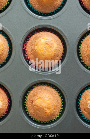Fresh baked sponge cupcakes or fairy cakes in a muffin tin top down view Stock Photo
