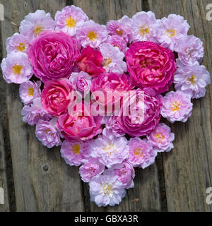 heart of flowers with pink roses in the middle Stock Photo